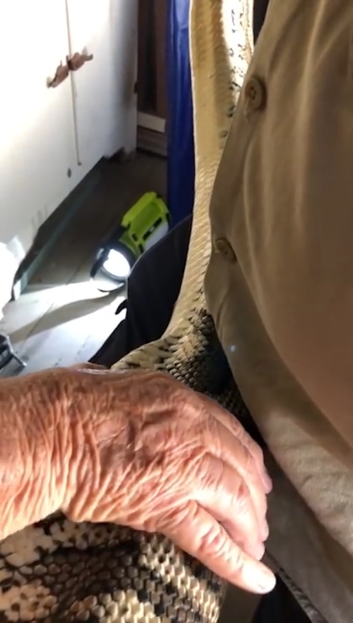 슬리퍼 한 쪽을 삼킴 뱀 포획 모습(유튜브 영상 캡처)