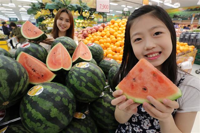 “햇수박 맛보세요” 