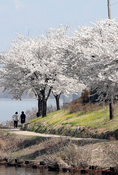 이 봄, 그대와 함께