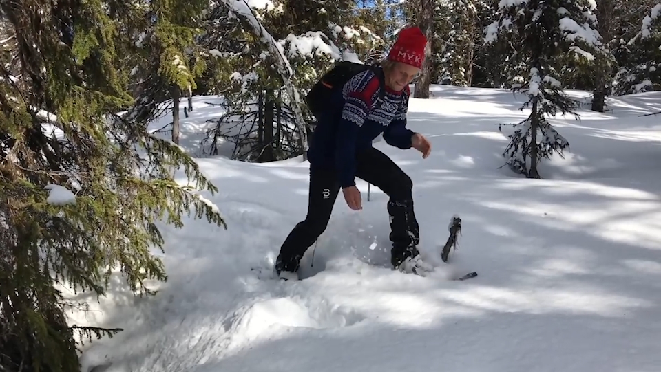 눈 속에서 솟구쳐 나온 새 모습(유튜브 영상 캡처)