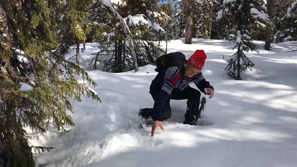 눈 속에서 솟구쳐 나온 새 모습(유튜브 영상 캡처)