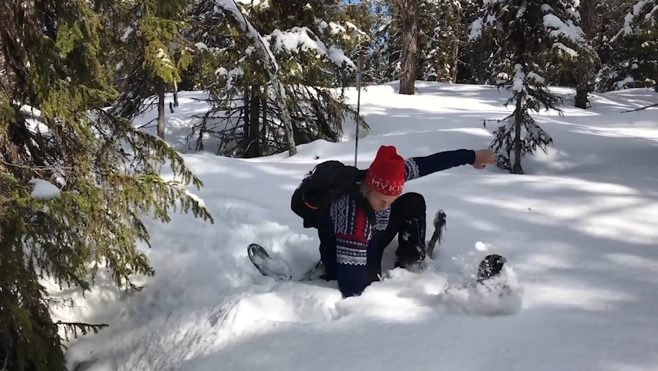 눈 속에서 솟구쳐 나온 새 모습(유튜브 영상 캡처)