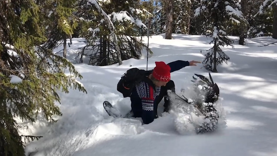 눈 속에서 솟구쳐 나온 새 모습(유튜브 영상 캡처)