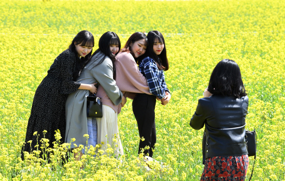 대구 북구 노곡동 하중도 유채꽃단지를 찾은 학생들이 즐거운 시간을 보내고 있다.  도준석 기자 pado@seoul.co.kr