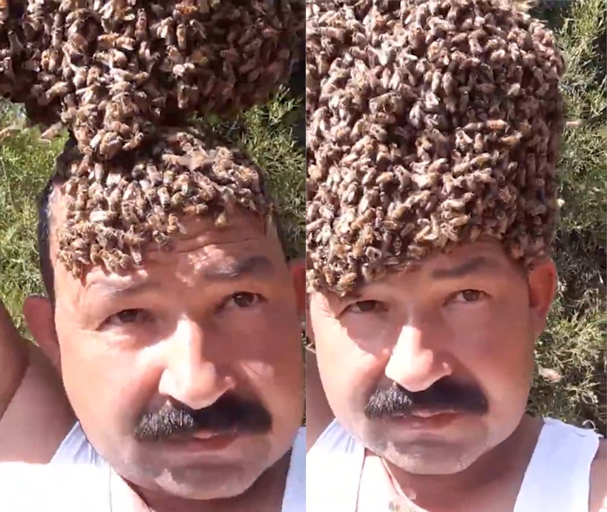 수 천마리 꿀벌들로 이뤄진 ‘꿀벌 모자’를 머리에 쓴 남성 모습(유튜브 영상 캡처)