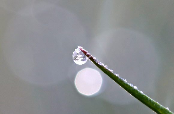 진주보다 더 고운 얼음 방울