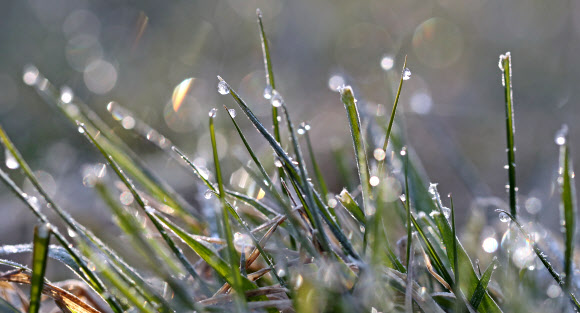 계절 역주행 대관령의 선물