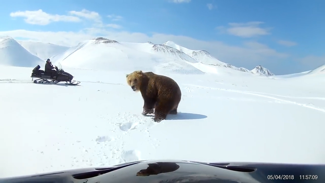 유튜브 영상 캡처. ViralHog.