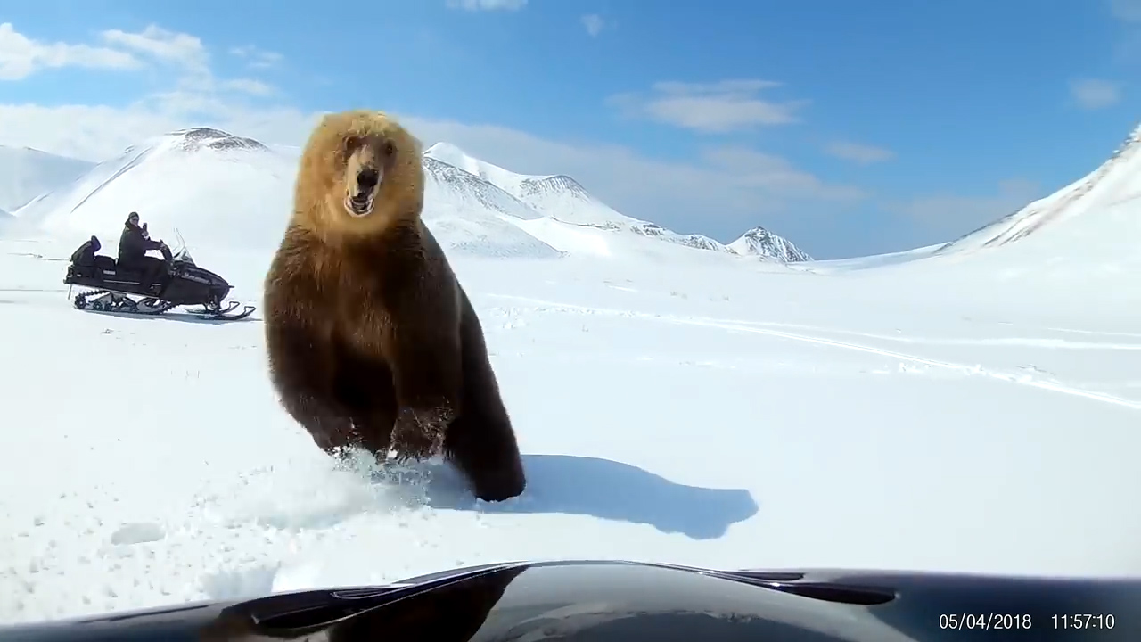 유튜브 영상 캡처. ViralHog.