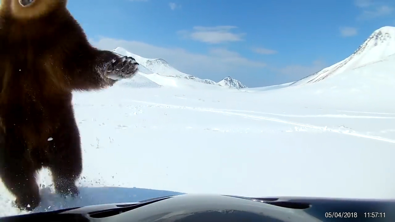 유튜브 영상 캡처. ViralHog.