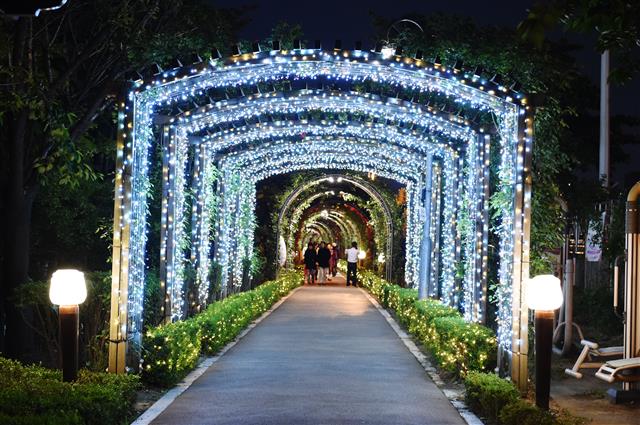 LED 경관조명이 켜진 중랑천 제방 위의 장미터널.<br>중랑구 제공