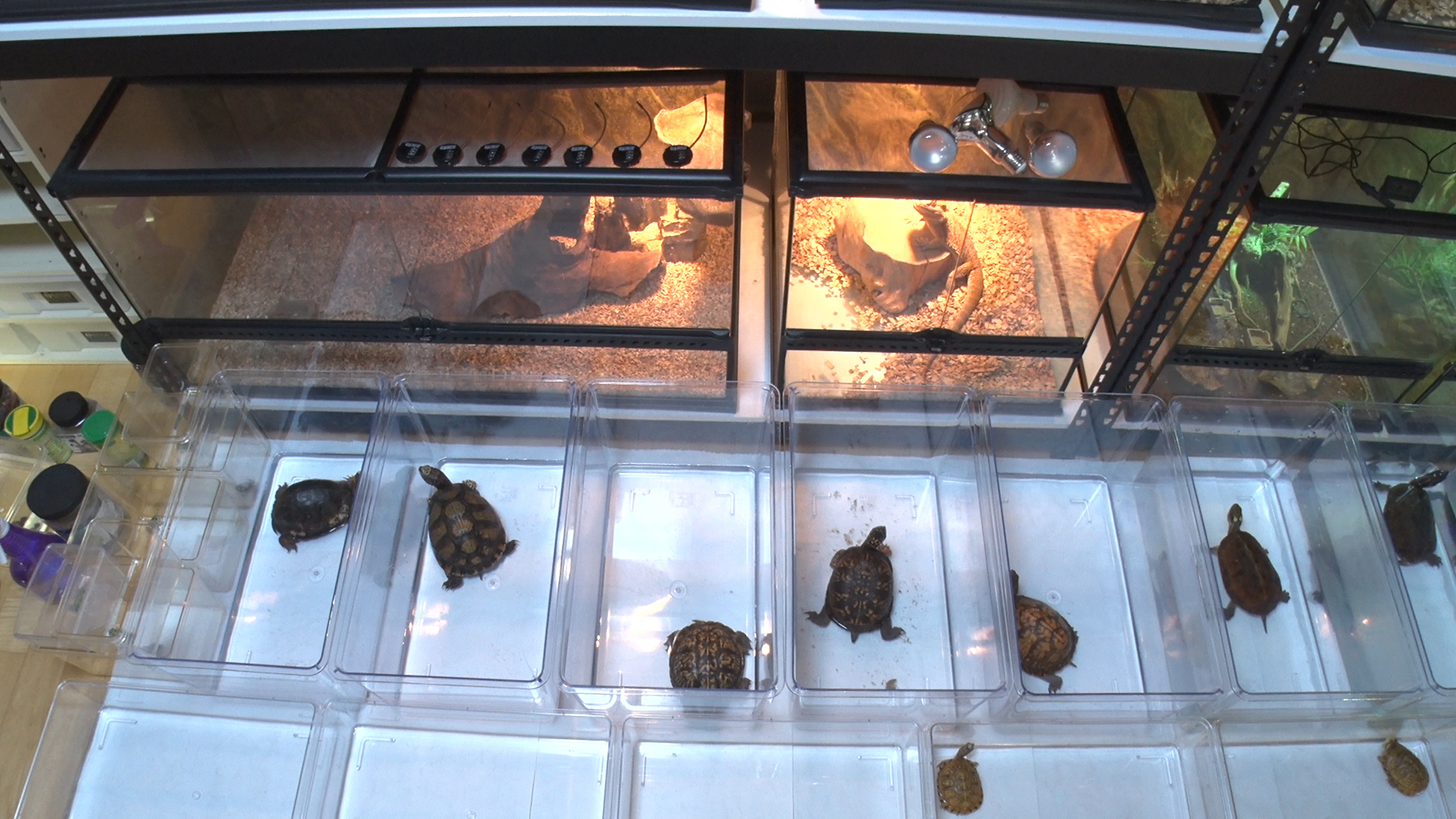 박종순씨의 사육장 모습