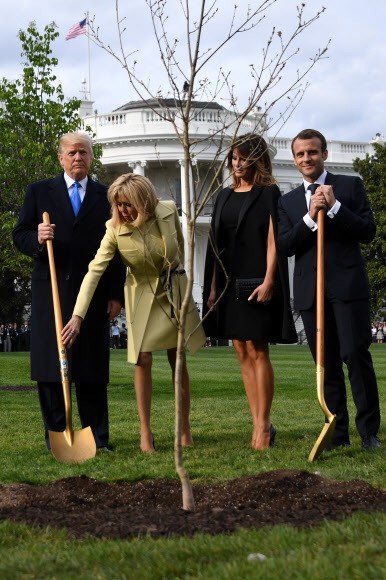 백악관 앞마당에 나무 심는 트럼프·마크롱 부부 