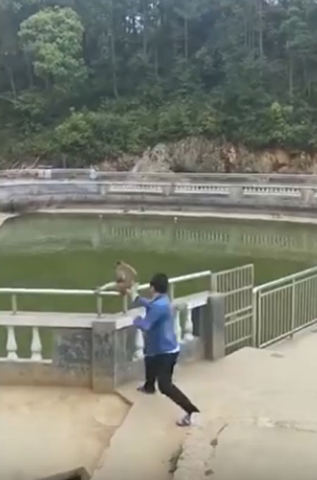 AsiaWire / Daily Mail youtube