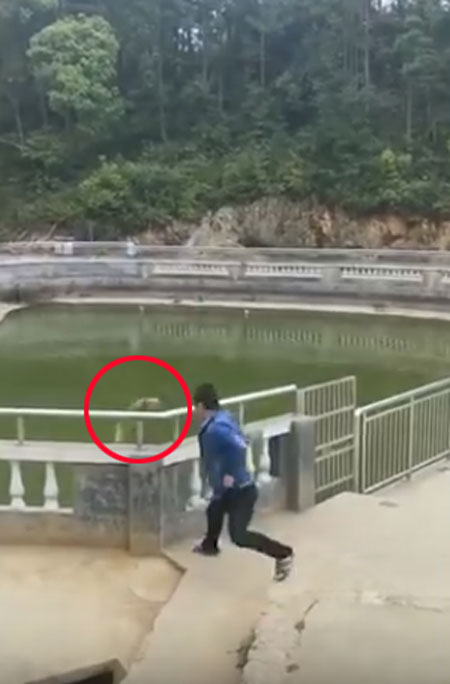 AsiaWire / Daily Mail youtube