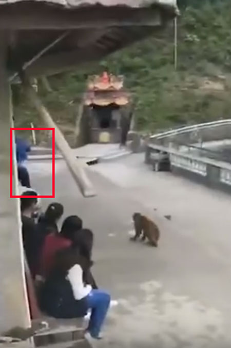 AsiaWire / Daily Mail youtube