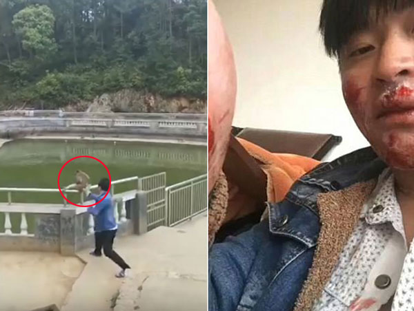 AsiaWire / Daily Mail youtube