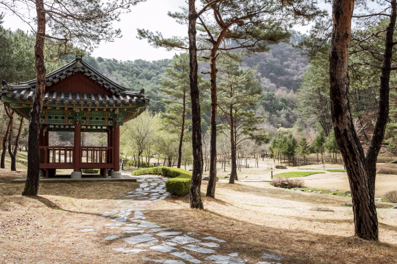 가족들이 나들이하기 좋은 공작산 생태숲. 한국관광공사 제공
