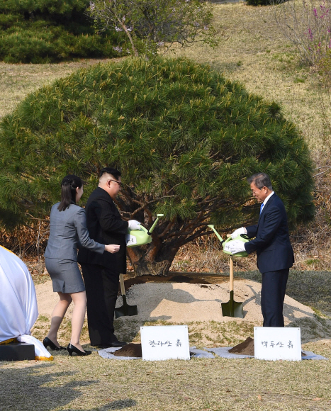 문재인 대통령과 김정은 북한 국무위원장이 27일 오전 판문점 평화의집에서 오전 정상회담 후 양 정상이 기념 식수를 하고있다.  안주영 기자 jya@seoul.co.kr