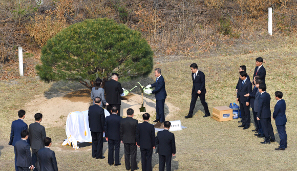 27일 오후 문재인 대통령과 김정은 북한 국무위원장은 함께 남측 군사분계선 인근 ‘소떼 길’에 소나무를 공동 식수 하고 있다. 안주영 기자 jya@seoul.co.kr