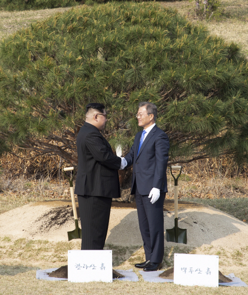 문재인 대통령과 김정은 북한 국무위위원장이 27일 오후 경기도 파주 판문점 내에 남북의 화합을 상징하는 소나무를 심은 뒤 악수하고 있다.  안주영 기자 jya@seoul.co.kr