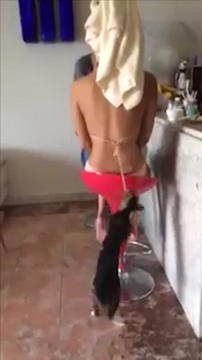 비키니 수영복 끈을 잡아 내리는 고양이 모습(유튜브 영상 캡처)