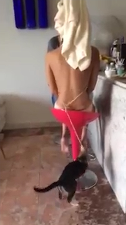 비키니 수영복 끈을 잡아 내리는 고양이 모습(유튜브 영상 캡처)