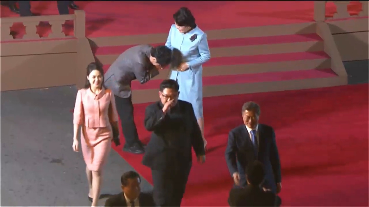 남북정상회담 환송행사 영상 캡처