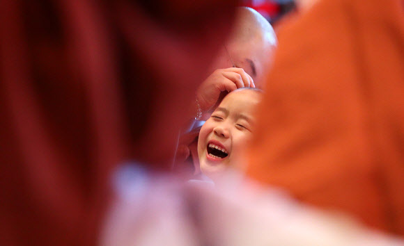 삭발식이 즐거운 동자승