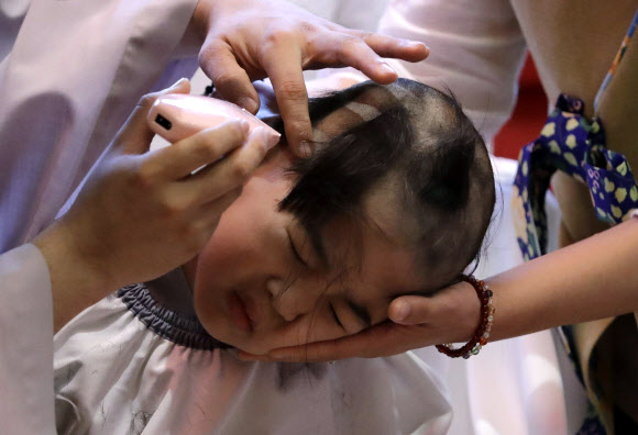 한 동자승이 2일(현지시간) 서울 종로구 조계사에서 부처님오신날을 앞두고 삭발을 하고 있다. AP 연합뉴스