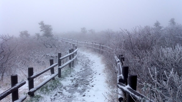 3일 새벽 설악산 고지대 기온이 영하로 떨어지며 눈이 내려 중청대피소 일대 탐방로에 내린 눈이 쌓여 있다. 이날 설악산에 내린 눈은 중청대피소 3cm, 소청대피소 3cm, 희운각 대피소 2cm의 적설량을 보였다. 기온은 오전 6시 현재 중청대피소 영하 2.5도, 소청대피소 영하 1도, 희운각 0도를 각각 기록했다.  설악산사무소 제공=연합뉴스