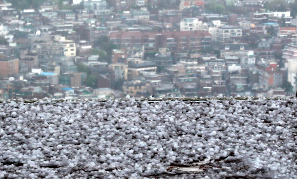 서울 지역에 소나기가 내린 3일 오후 서울 남산 N타워에서 우박이 내리며 전망대를 향하는 길에 우박 얼음 알갱이들이 쌓여 있다.  연합뉴스