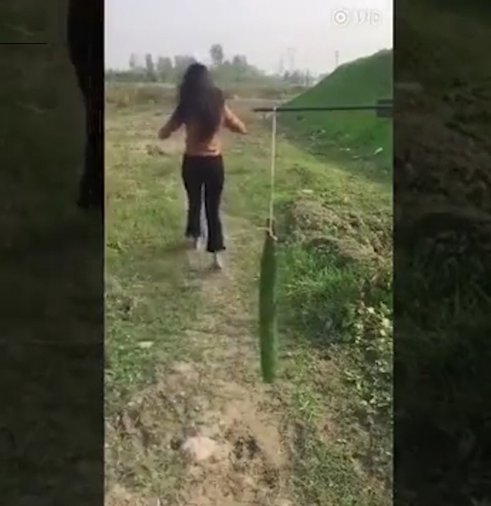 카드 한 장으로 오이를 두 동강 내는 여성 모습(유튜브 영상 캡처)