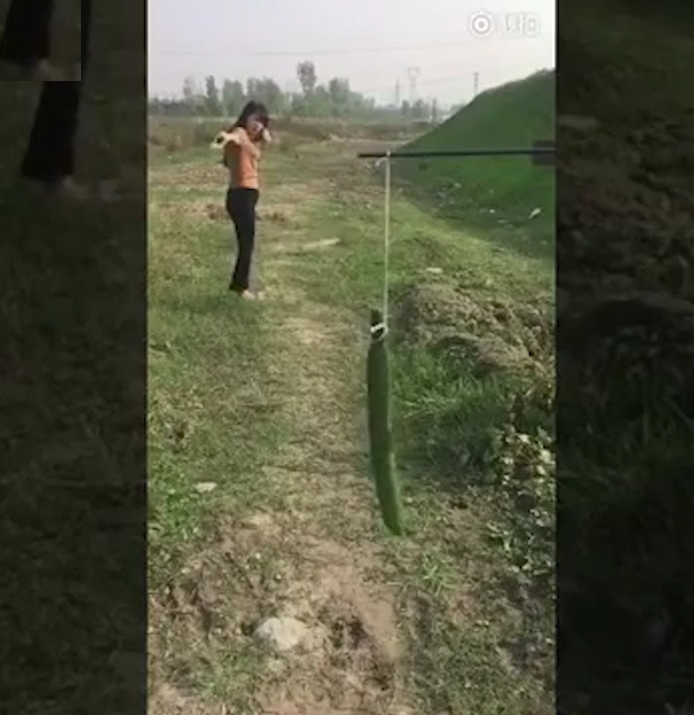 카드 한 장으로 오이를 두 동강 내는 여성 모습(유튜브 영상 캡처)