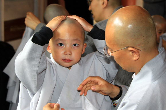 부처님 오신 날을 앞두고 3일 설악산 신흥사에서 열린 동자승 단기출가 수계법회에 참가한 한 어린이가 옷을 입혀주는 스님 앞에서 삭발한 머리를 만져보고 있다.  연합뉴스