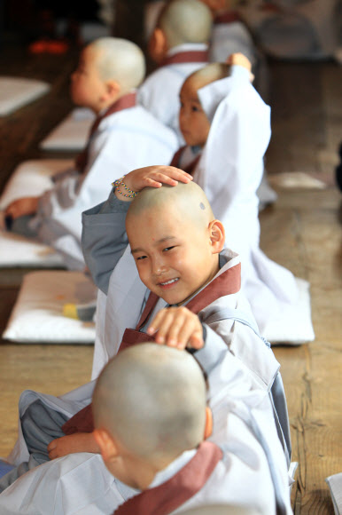 부처님 오신 날을 앞두고 3일 설악산 신흥사에서 열린 동자승 단기출가 수계법회에 참가한 어린이들이 법회 도중 삭발한 머리를 만져보고 있다. 연합뉴스