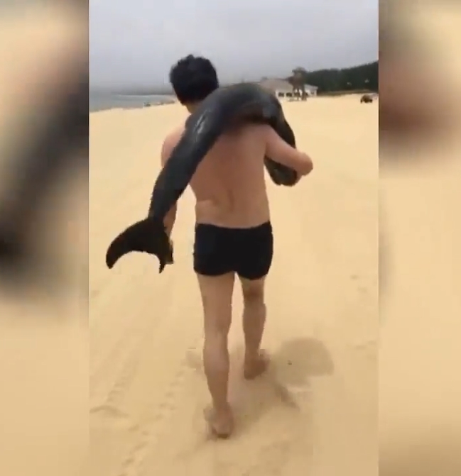 해변가로 밀려온 돌고래 들고 가는 몰지각한 남성 모습(유튜브 영상 캡처)