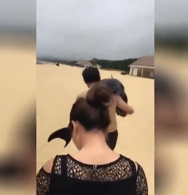 해변가로 밀려온 돌고래 들고 가는 몰지각한 남성 모습(유튜브 영상 캡처)