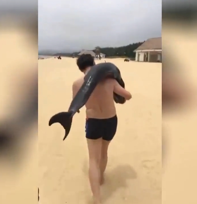 해변가로 밀려온 돌고래 들고 가는 몰지각한 남성 모습(유튜브 영상 캡처)