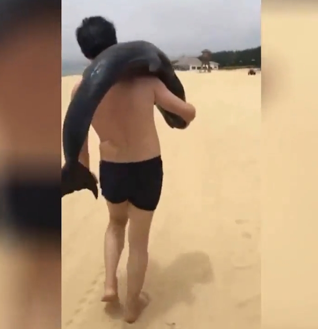 해변가로 밀려온 돌고래 들고 가는 몰지각한 남성 모습(유튜브 영상 캡처)