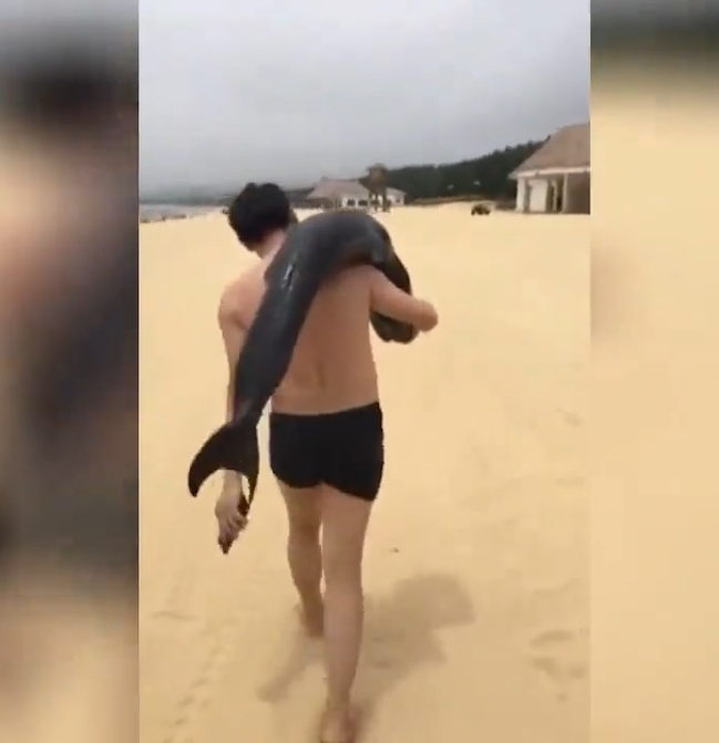 해변가로 밀려온 돌고래 들고 가는 몰지각한 남성 모습(유튜브 영상 캡처)