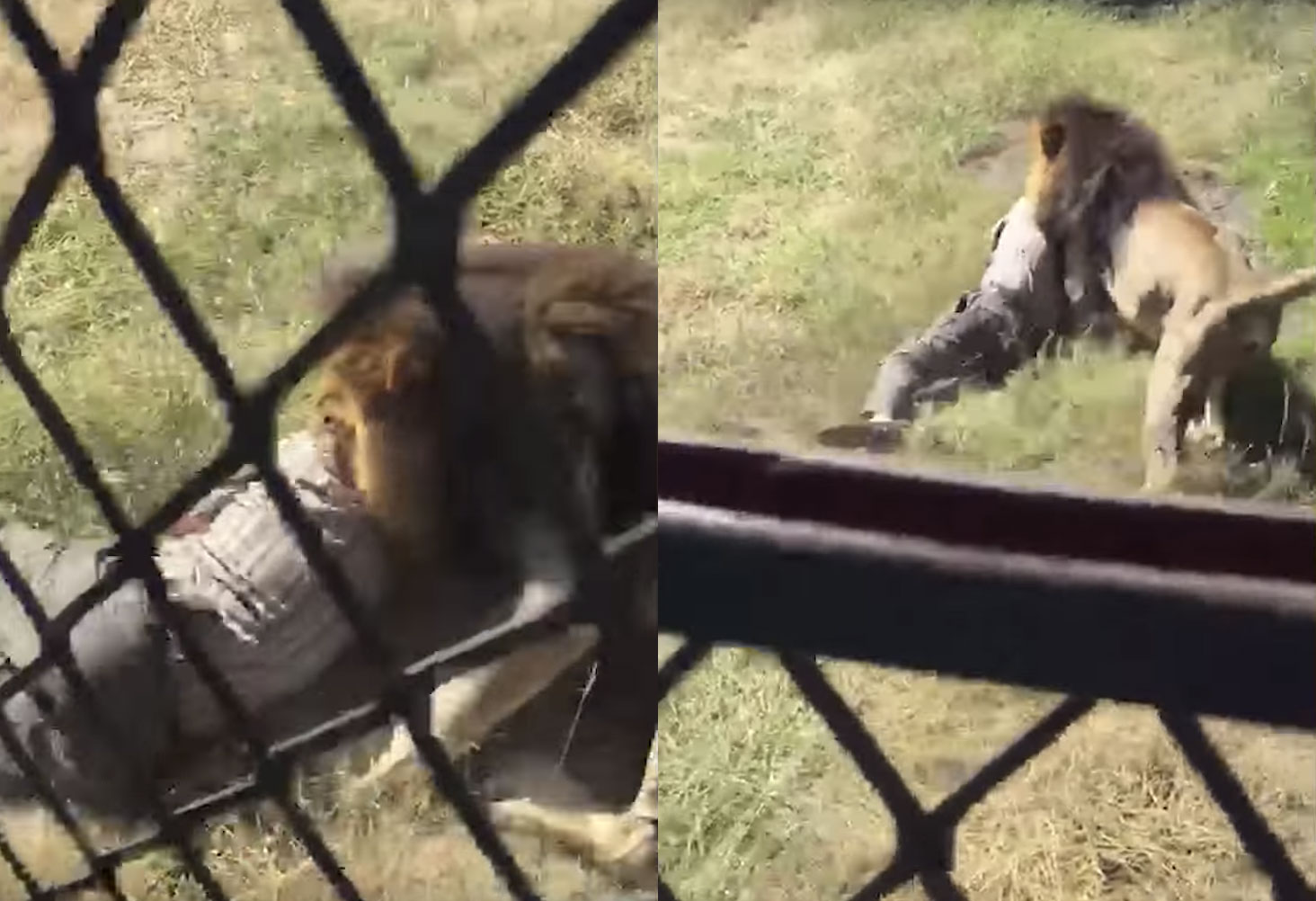 유튜브 영상 캡처