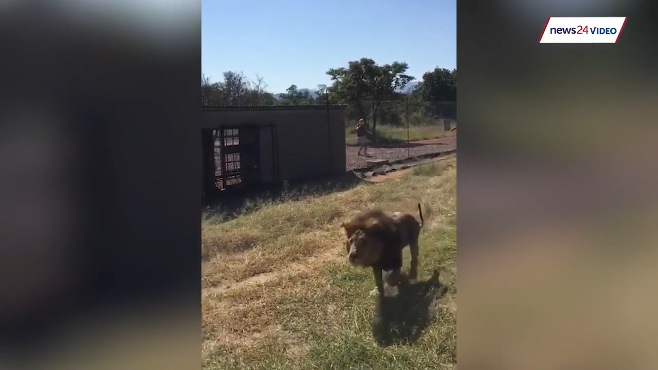 유튜브 영상 캡처. NEWS24.