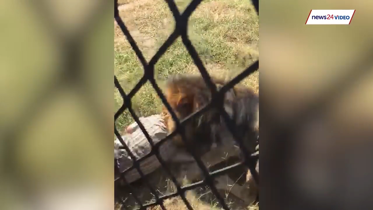 유튜브 영상 캡처. NEWS24.