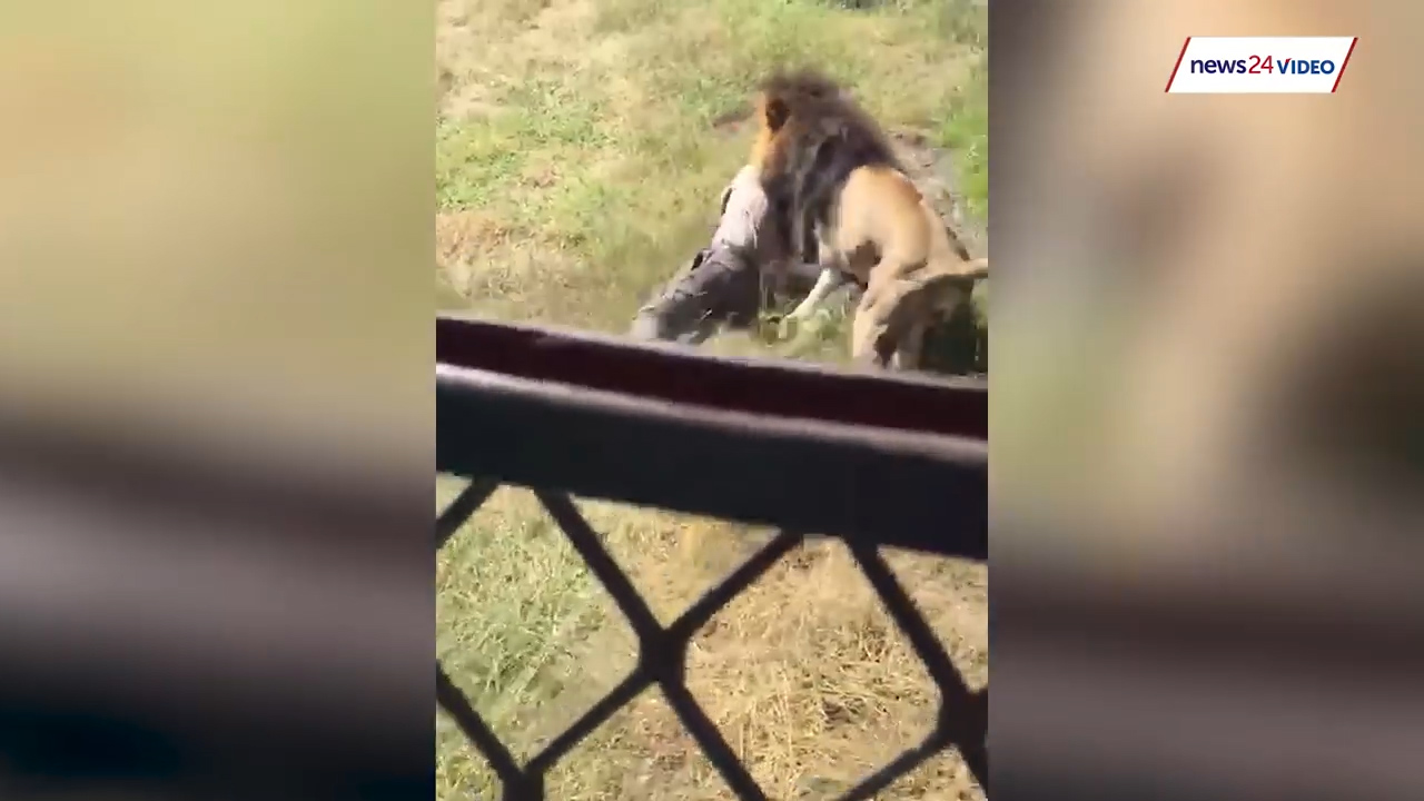 유튜브 영상 캡처. NEWS24.