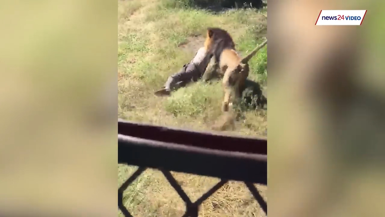 유튜브 영상 캡처. NEWS24.