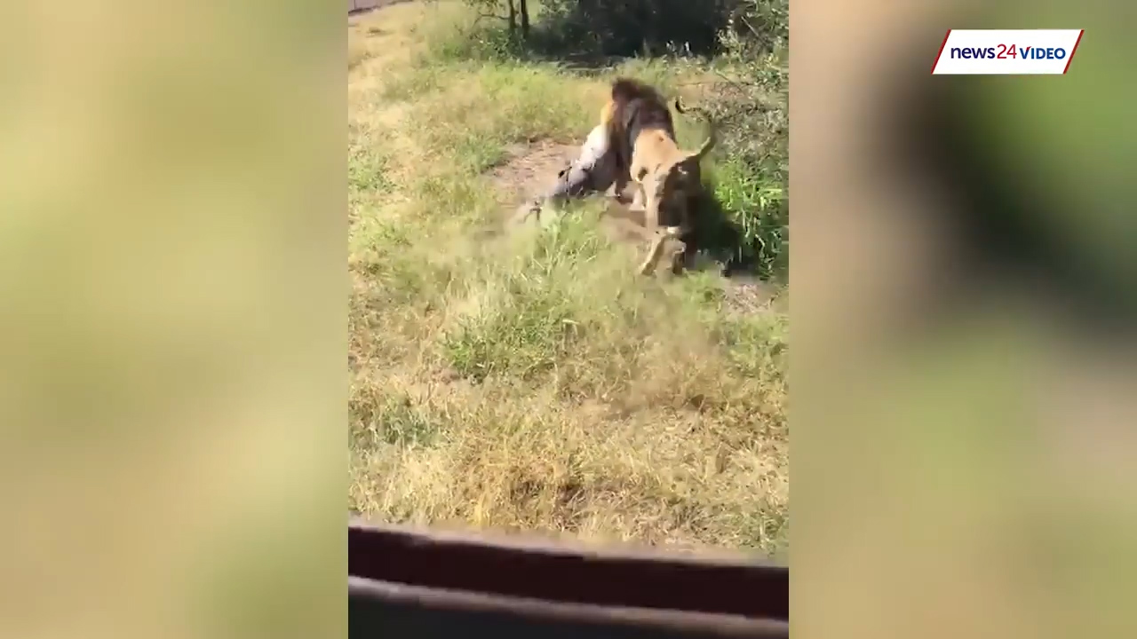 유튜브 영상 캡처. NEWS24.