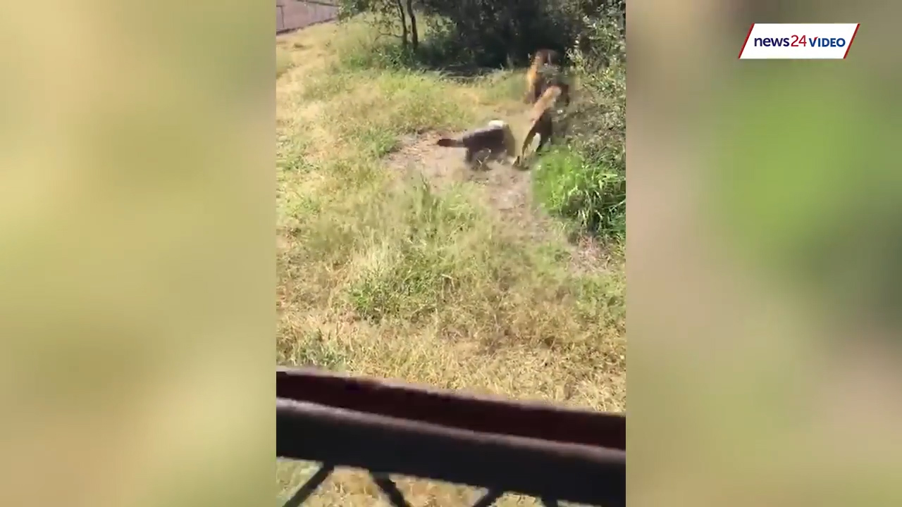 유튜브 영상 캡처. NEWS24.