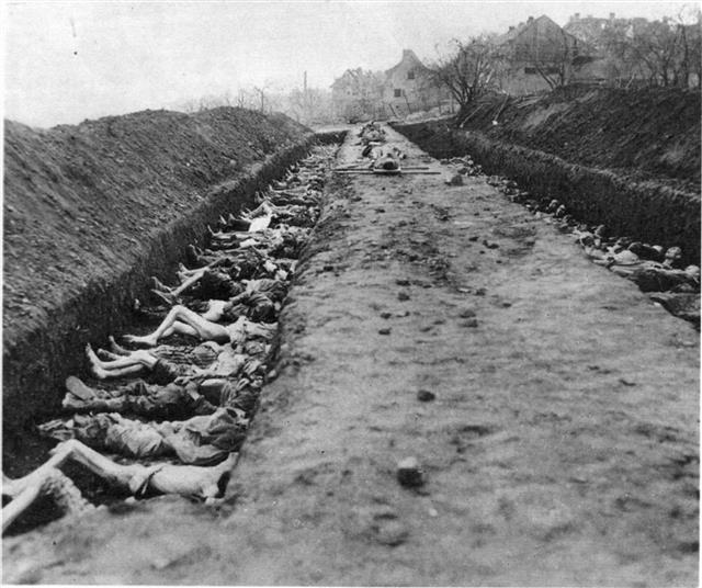 1945년 4월 수용소 해방 뒤에 미텔바우도라 수용소에서 나온 수용자들의 시체. 울력 제공