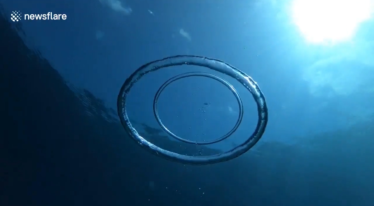 물 속 두개의 버블링이 합쳐지는 놀라운 순간(유튜브 영상 캡처)